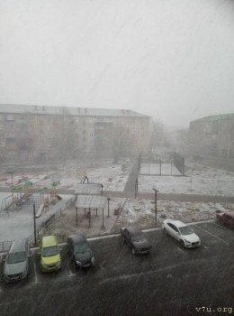 Завтра отмечаем годовщину Дня Аиста - зима 1.jpg