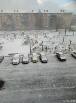 Завтра отмечаем годовщину Дня Аиста - зима 2.jpg