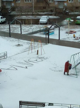 Завтра отмечаем годовщину Дня Аиста - зима 3.jpg