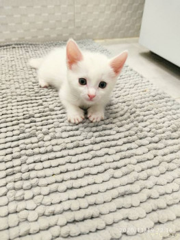 Моя история. Приёмный ребенок-младенец. - IMG_20201119_221613.jpg