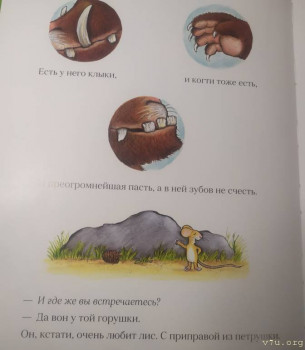 Книги, фильмы, мультфильмы для детей - IMG_20201130_193823.jpg