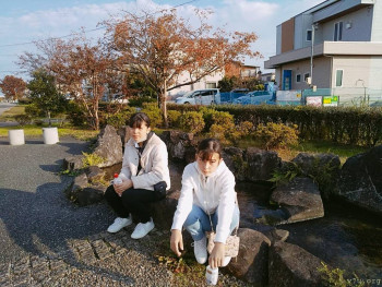 Вышли  девы  погулять