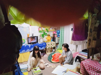 домашние  дела