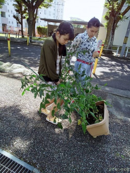 Япония.Жизнь и воспитание детей - 017.jpg