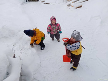 Розовые пони - IMG-20210109-WA0003.jpg