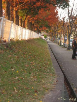 ГДЕ   дороги  с  движением  там  широкие  тротуары  велосипедов очень много  поэтому  удобства для них делается