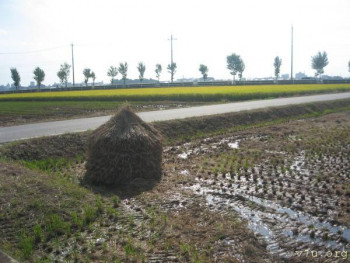 полевые дороги  вот  по таким  в  основном   и  ездят в  школу   не  успеешь  с одного городка  выехать  впереди  уже другой городок  видно