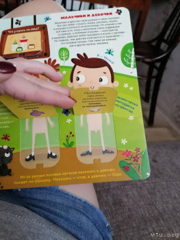 Это самая откровенная анатомическая картинка.