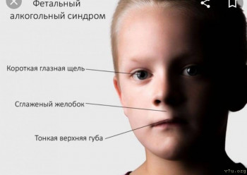 Король Артур - Screenshot_20210214-192711_Chrome.jpg