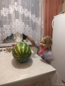 Устанавливаю отцовство через суд, отдадут ребёнка? 2 - IMG_20180922_182001.jpg