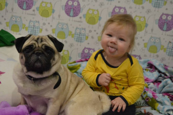 Домашние животные-чистота и безопасность. - DSC_1415.JPG