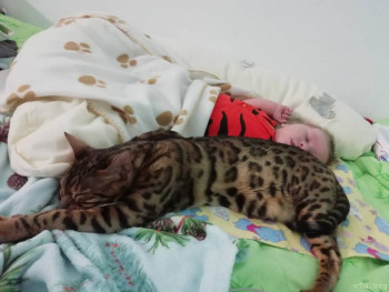 Приемные дети и домашние животные - дружба? - MyPsrT1nJwY.jpg