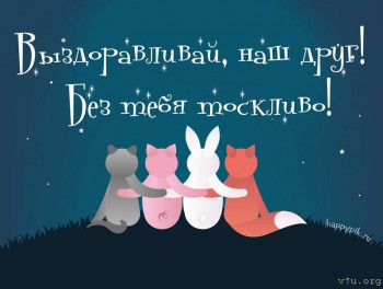 Стентирование на сердце. - dspl.jpg