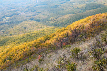 Как сложно начать,хотя я и не боюсь сказать .... - IMG-20201020-WA0020.jpg