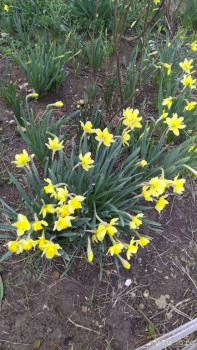 Весеннего настроения