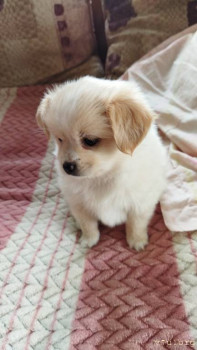 Наш Мишаня.