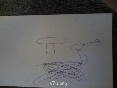 Грибы во дворе