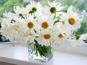 к психиатру или психологу? - Цветы3.jpg