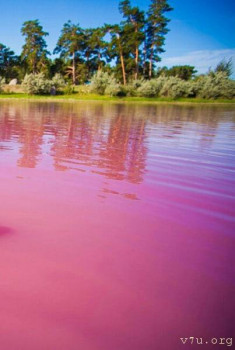 Переезд на пмж в Алтайский край. Вопрос про опеку.... - PYzPN0owHxo.jpg
