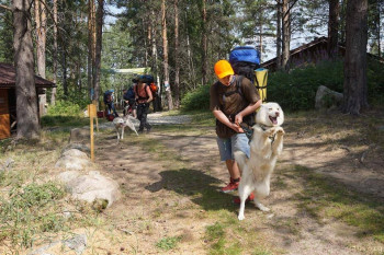 Лагеря для наших детей - 218443191_4265475993534865_1749802812989658542_n.jpg