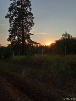 Завтра отмечаем годовщину Дня Аиста - IMG20210810203500_00.jpg