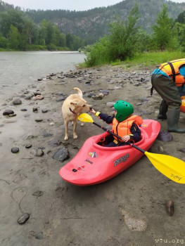 Новый друг))