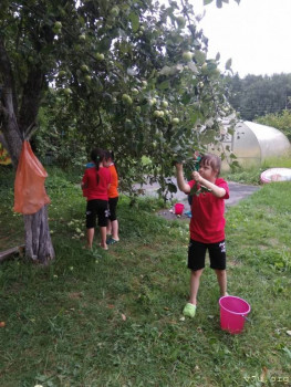 Мифы и реалии. Детки с СД. - WhatsApp Image 2021-08-05 at 18.59.44.jpeg