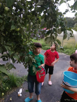 Мифы и реалии. Детки с СД. - WhatsApp Image 2021-08-05 at 19.00.48.jpeg