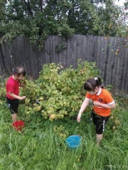 Мифы и реалии. Детки с СД. - WhatsApp Image 2021-08-05 at 19.02.30.jpeg