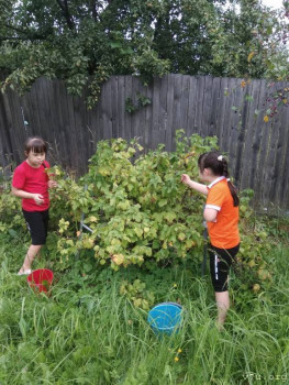 Мифы и реалии. Детки с СД. - WhatsApp Image 2021-08-05 at 19.03.11.jpeg