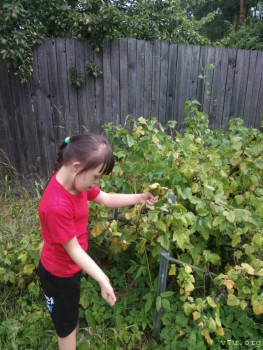 Мифы и реалии. Детки с СД. - WhatsApp Image 2021-08-05 at 19.04.07.jpeg