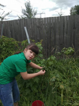 Мифы и реалии. Детки с СД. - WhatsApp Image 2021-08-05 at 19.05.34.jpeg