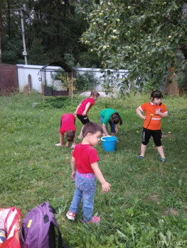 Мифы и реалии. Детки с СД. - WhatsApp Image 2021-08-05 at 19.06.39.jpeg