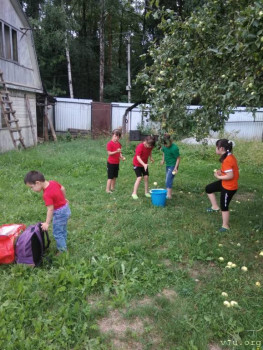 Мифы и реалии. Детки с СД. - WhatsApp Image 2021-08-05 at 19.06.59.jpeg