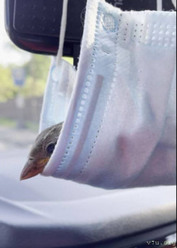 Приемный ребенок не принимает мужа - VORBEI.JPG