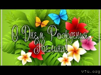 Завтра отмечаем годовщину Дня Аиста - hqdefault.jpg