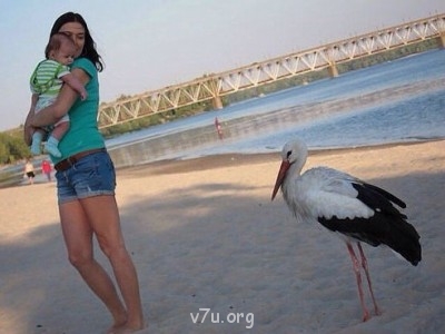 Генератор хорошего настроения - getImage.jpg