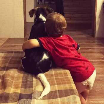  мальчика хотите?  - IMG_20210903_083416_916.jpg