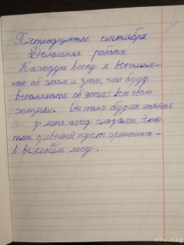 Сама вечером списывала.