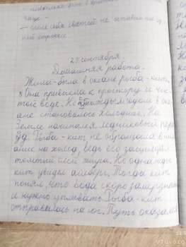 Завтра отмечаем годовщину Дня Аиста - изображение_viber_2021-09-28_22-31-46-957.jpg