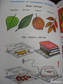 Семейное обучение приемных детей. - 1.jpg