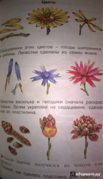 Семейное обучение приемных детей. - 0_e2323c002368039940b2d2ede571a802_1412184916.jpg