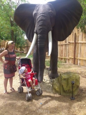 Я в начале пути - EfdhZPkjtos.jpg