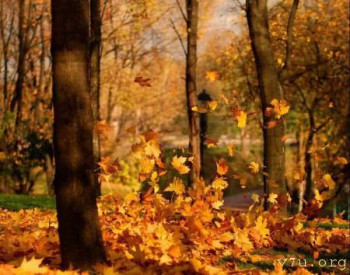 Завтра отмечаем годовщину Дня Аиста - ОткрыткаОсень.jpg