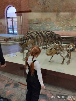 Моя история. Приёмный ребенок-младенец. - IMG_20211210_132228_1.jpg