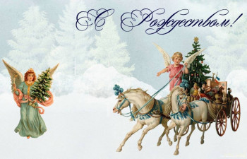 Завтра отмечаем годовщину Дня Аиста - 69496085.jpg