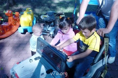 Встречайте новичков - P1020407.JPG