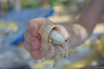 Выезд за границу с опекаемым - IMG_20220122_231715.jpg