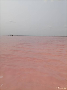 Розовое озеро