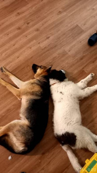 Становление Нашей приемной семьи. - WhatsApp Image 2022-02-03 at 19.16.47(1).jpeg